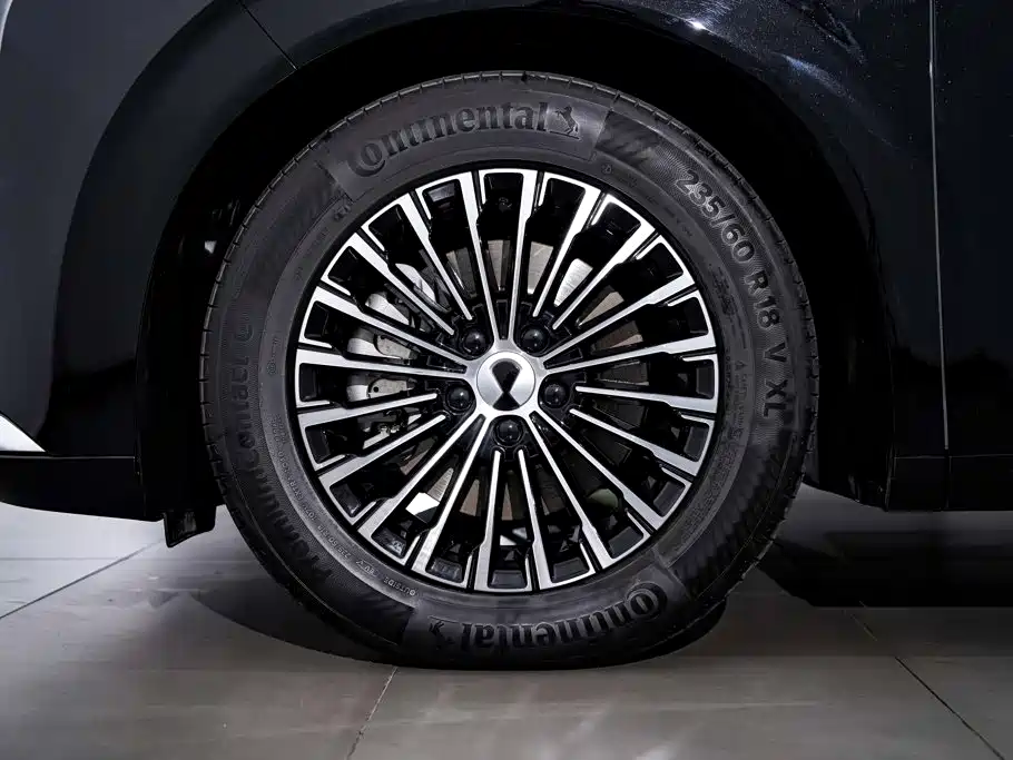 Denza Denza D9 — миниатюра 12