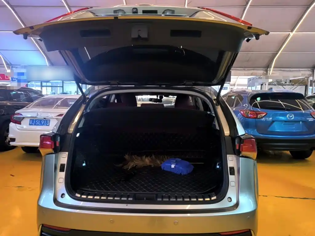 Lexus NX — миниатюра 19