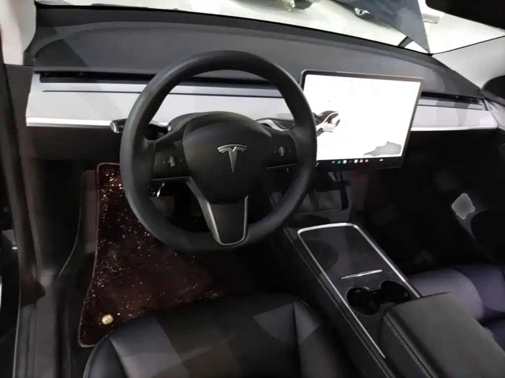 Tesla Model Y — миниатюра 10