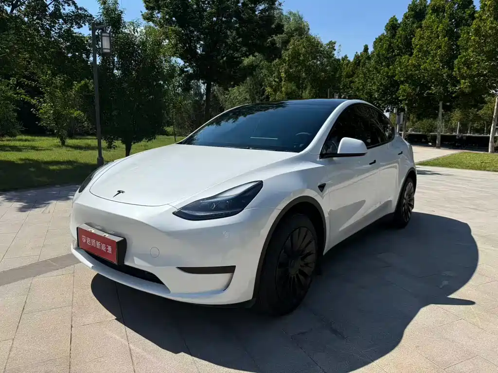 Tesla Model Y — миниатюра 2