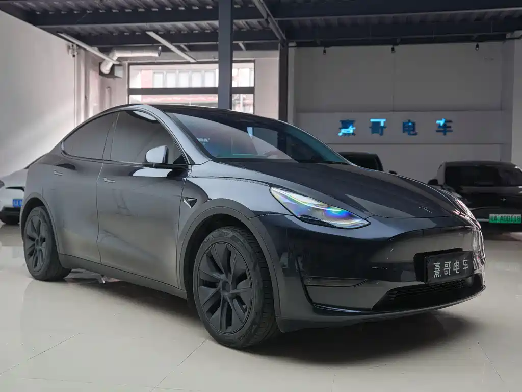 Tesla Model Y — миниатюра 8