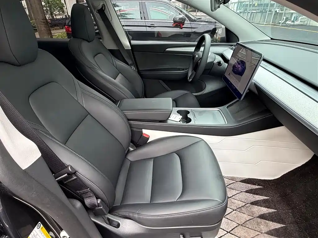 Tesla Model Y — миниатюра 6