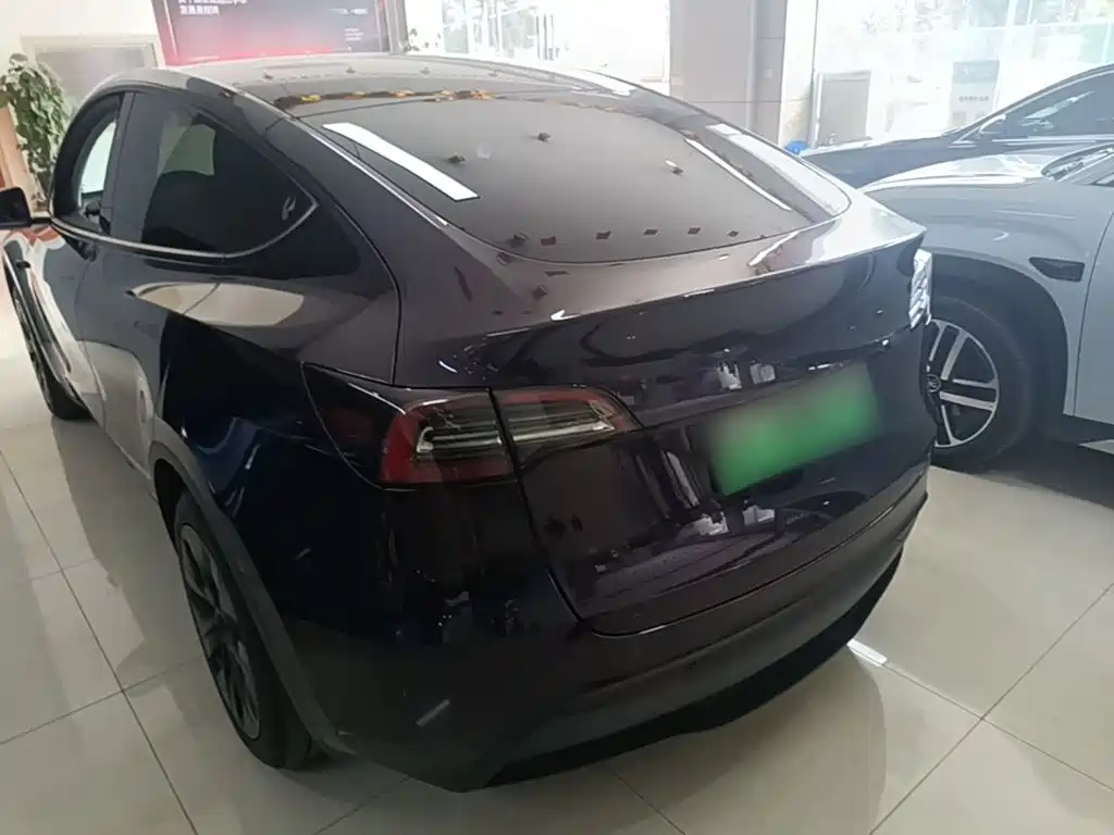 Tesla Model Y — миниатюра 5