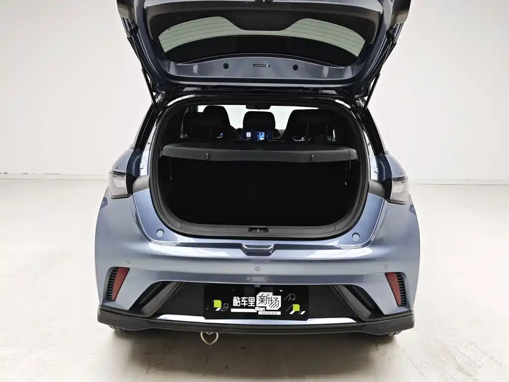 BYD Dolphin — миниатюра 11