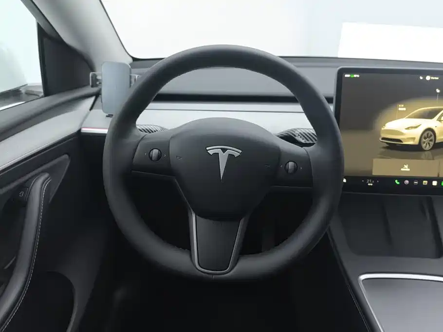 Tesla Model Y — миниатюра 15