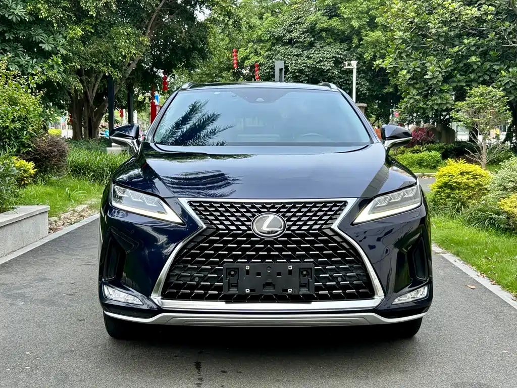 Lexus RX 2020 300 Elegant VI