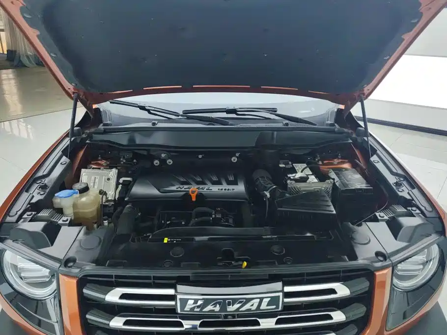 Haval Big Dog — миниатюра 10
