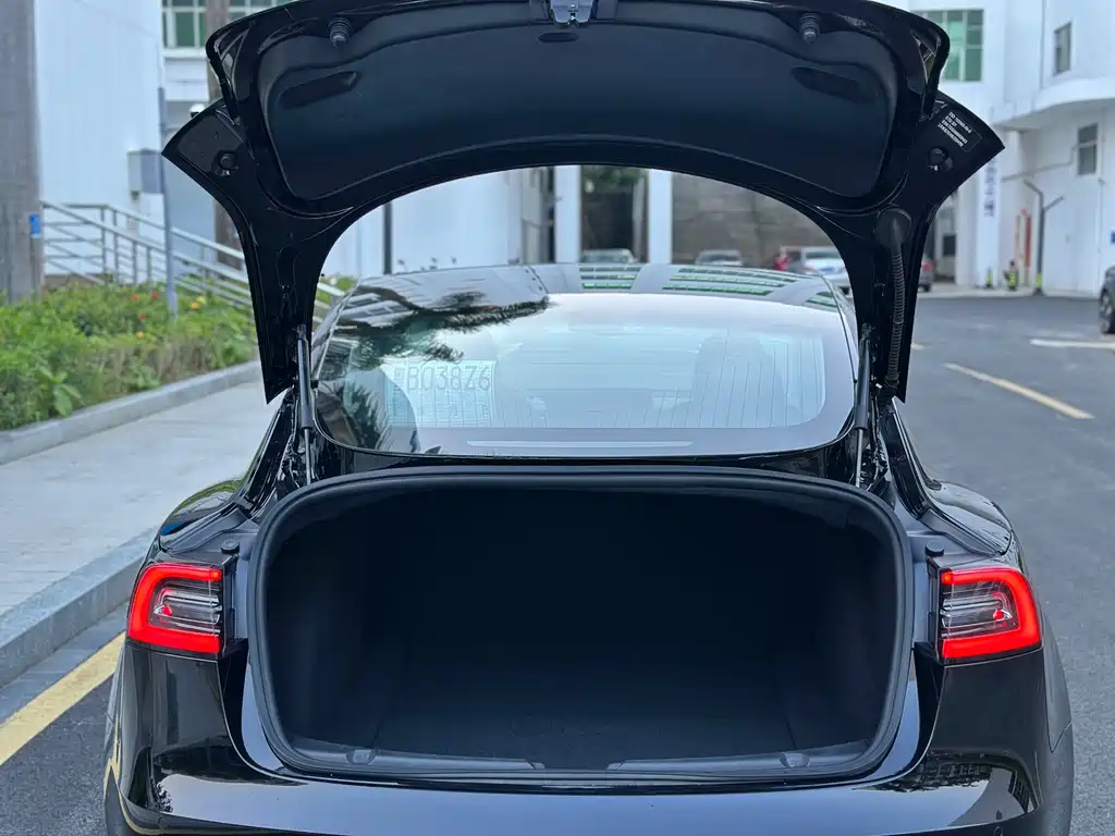 Tesla Model 3 — миниатюра 7