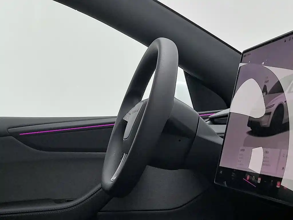 Tesla Model Y — миниатюра 22
