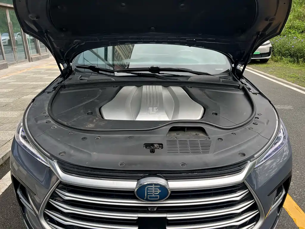 BYD Tang New Energy — миниатюра 25