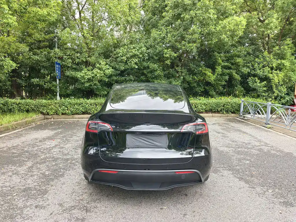 Tesla Model Y — миниатюра 5