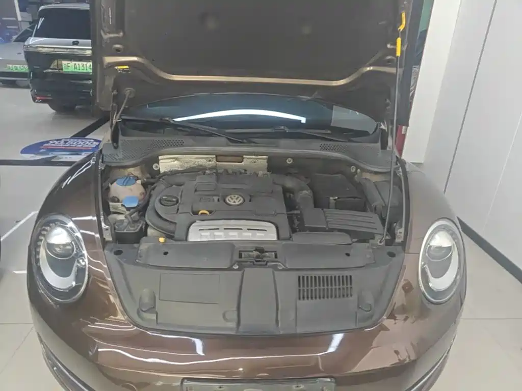 Volkswagen Beetle — миниатюра 20