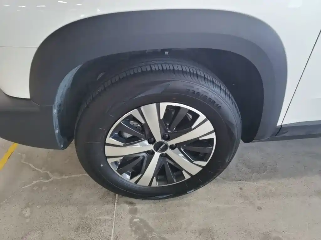 Haval Big Dog — миниатюра 23