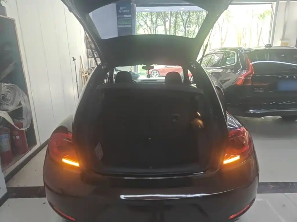 Volkswagen Beetle — миниатюра 19