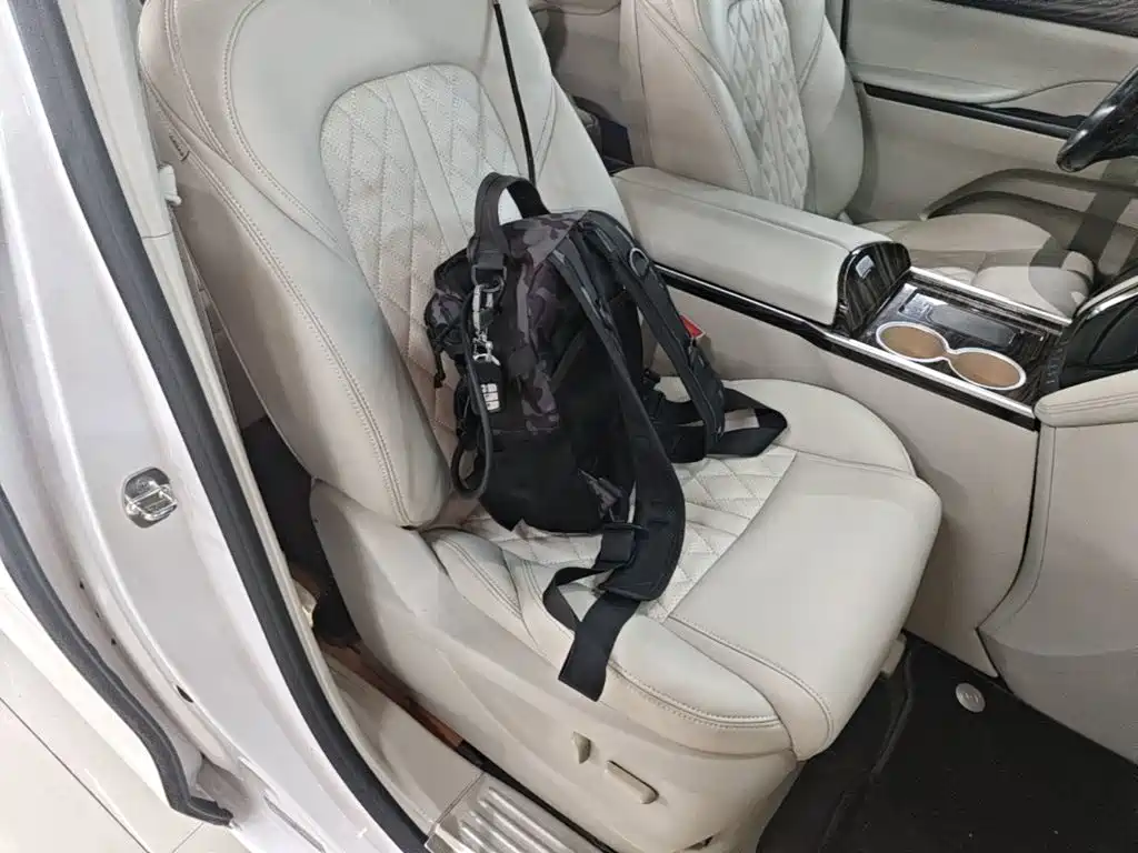 Buick GL8 — миниатюра 25