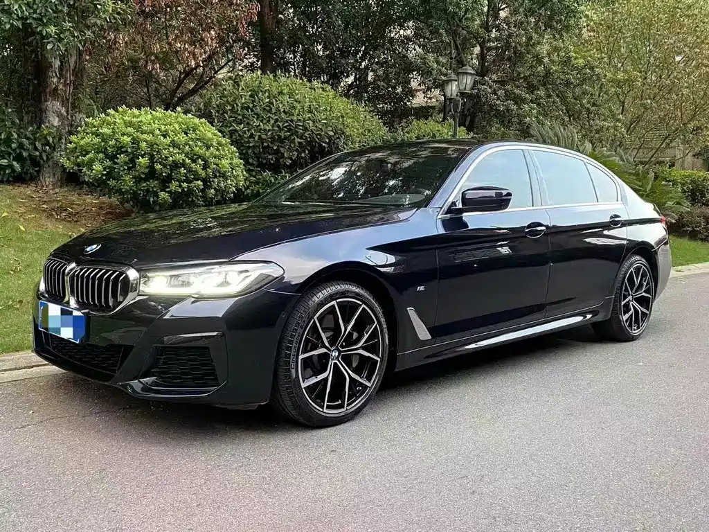BMW 5 Series — миниатюра 2