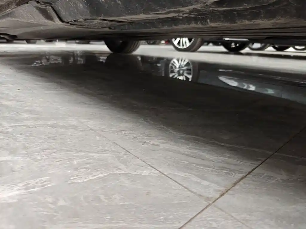 Volkswagen Passat — миниатюра 22