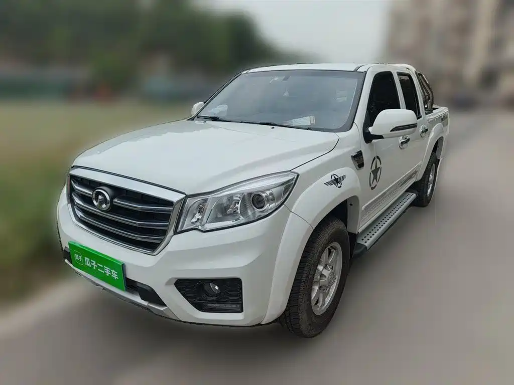 Great Wall Fengjun 6 2019