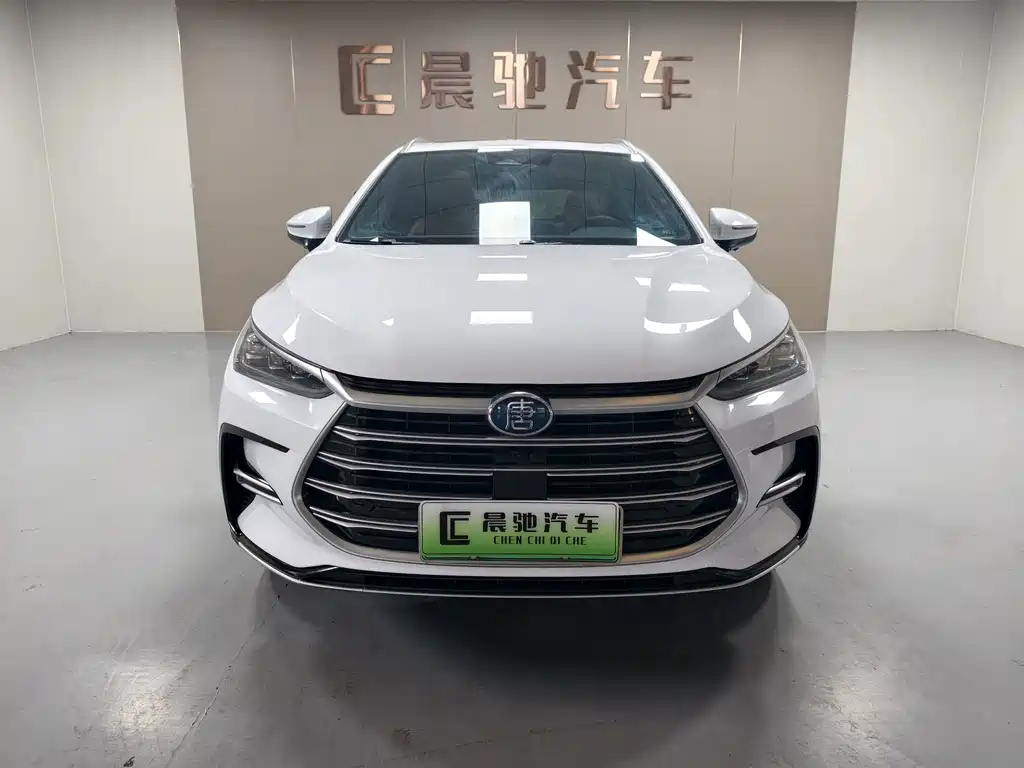 BYD Tang New Energy — миниатюра 2