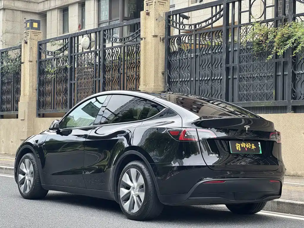Tesla Model Y — миниатюра 21
