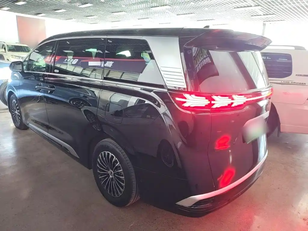 Denza Denza D9 — миниатюра 5