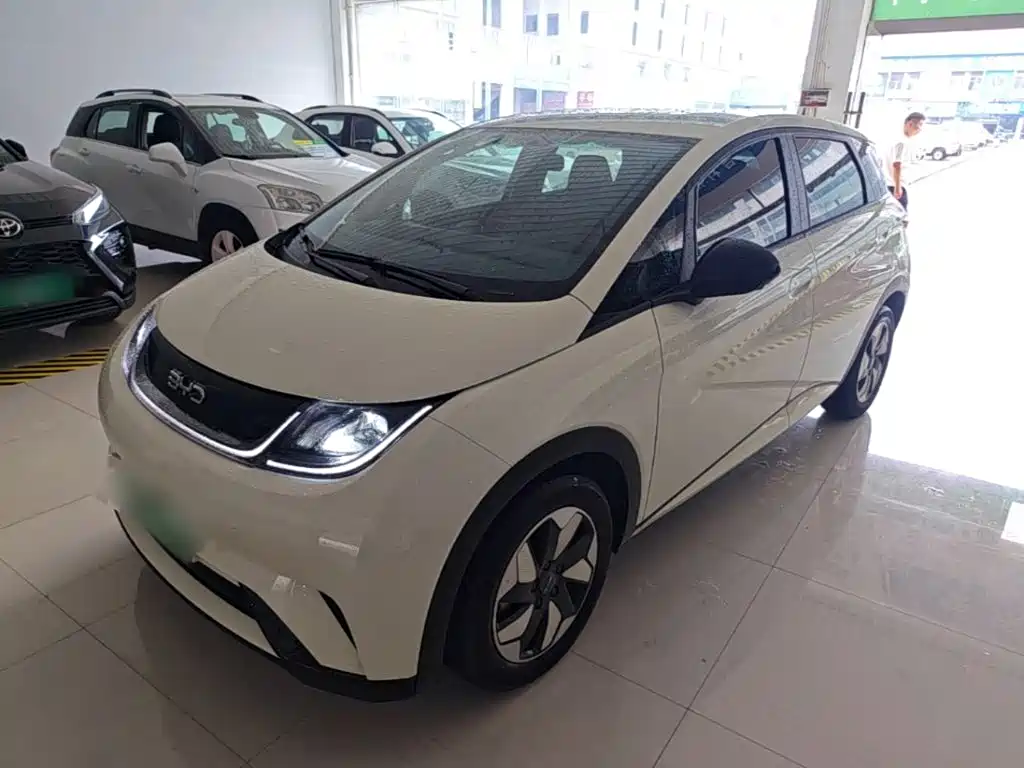 BYD Dolphin — миниатюра 2