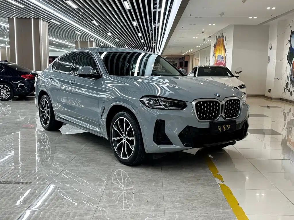 BMW X4 — миниатюра 3