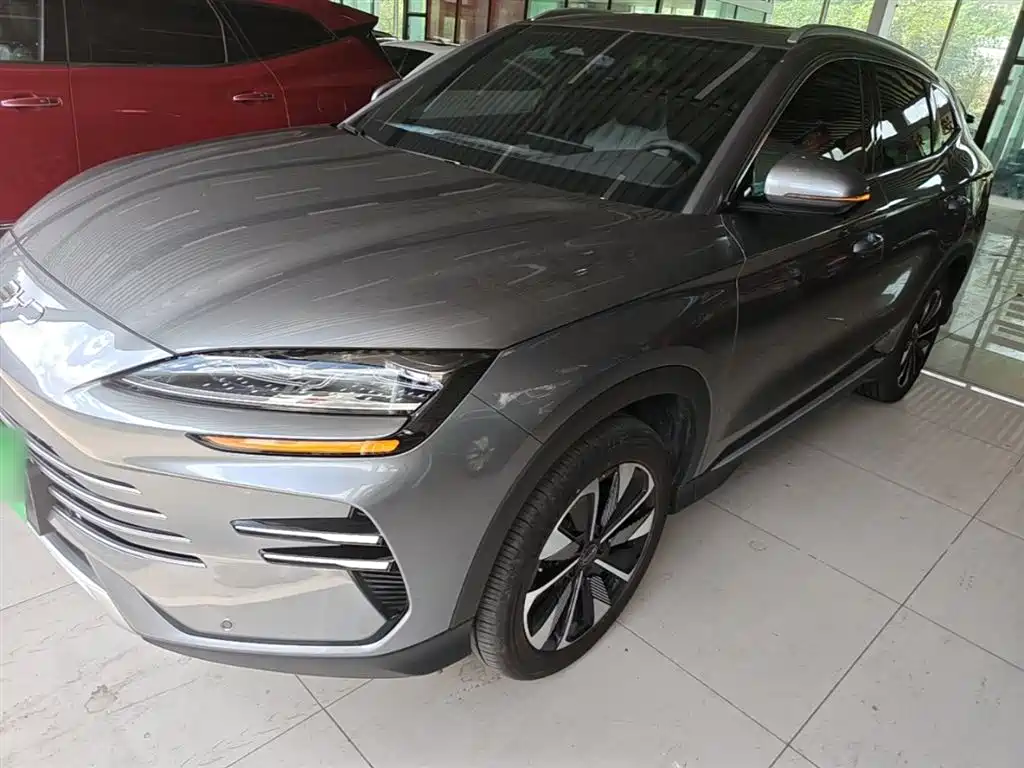 Byd PLUS New Energy 2024