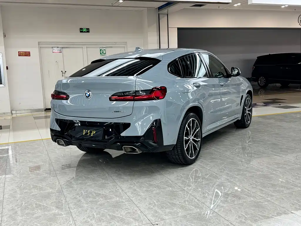 BMW X4 — миниатюра 4