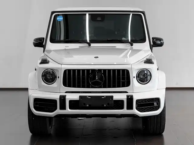 MERCEDES-BENZ G CLASS