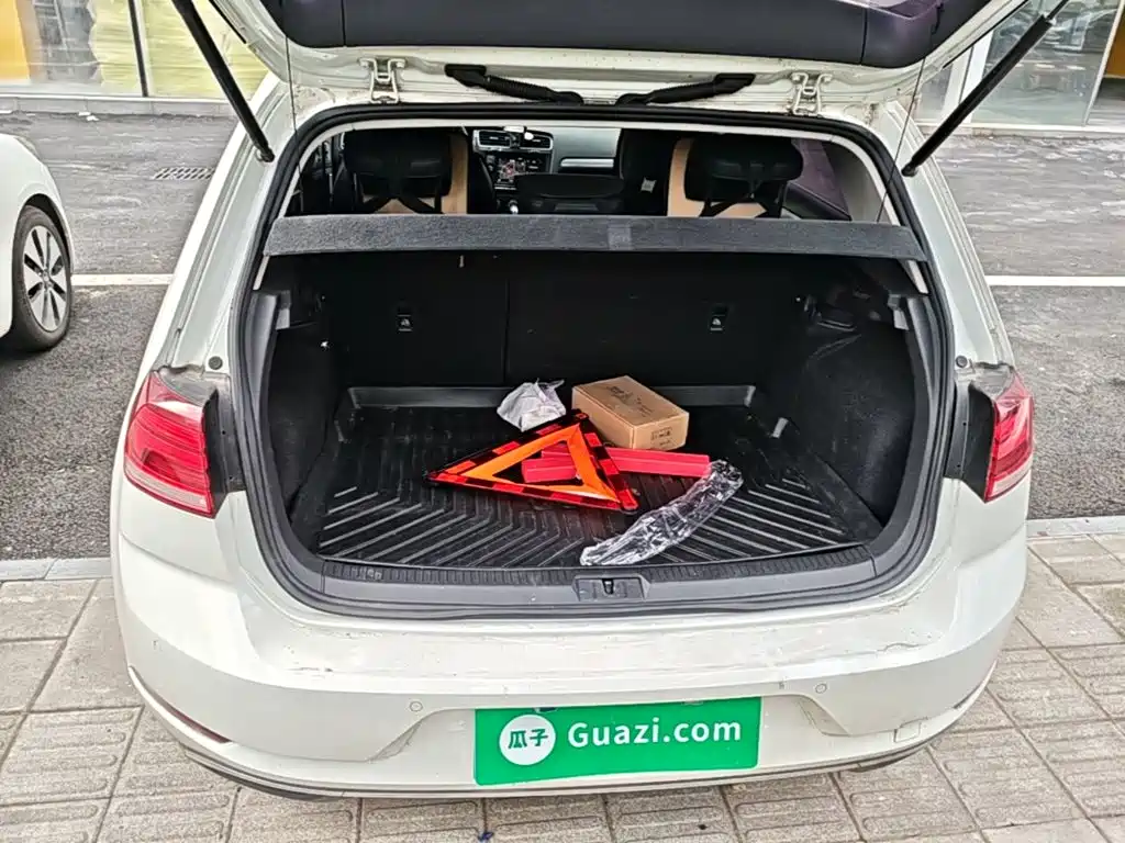 Volkswagen Golf — миниатюра 19