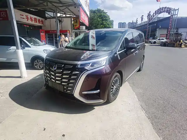 2023 Denza D9