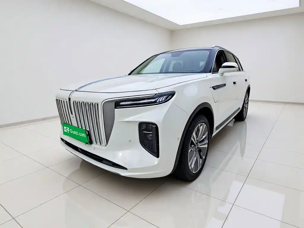 Hongqi Hongqi E-HS9