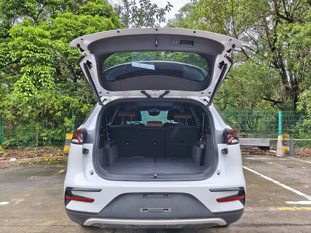 BYD Tang New Energy — миниатюра 8