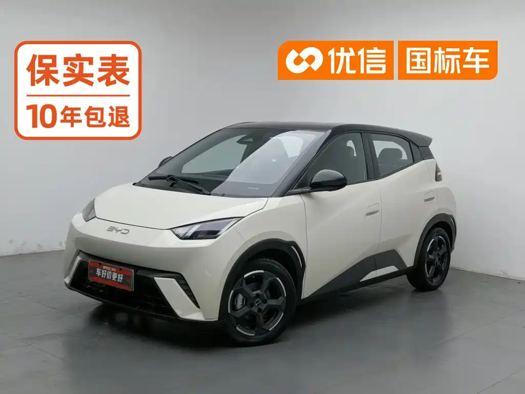 BYD Seagull