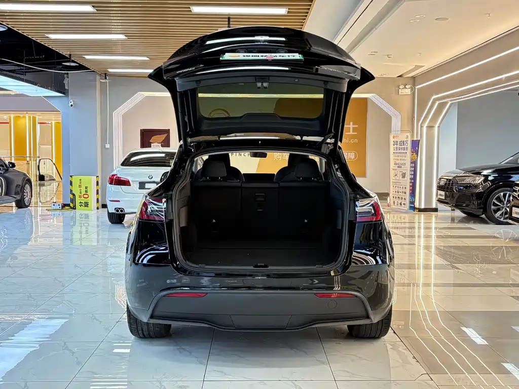 Tesla Model Y — миниатюра 18
