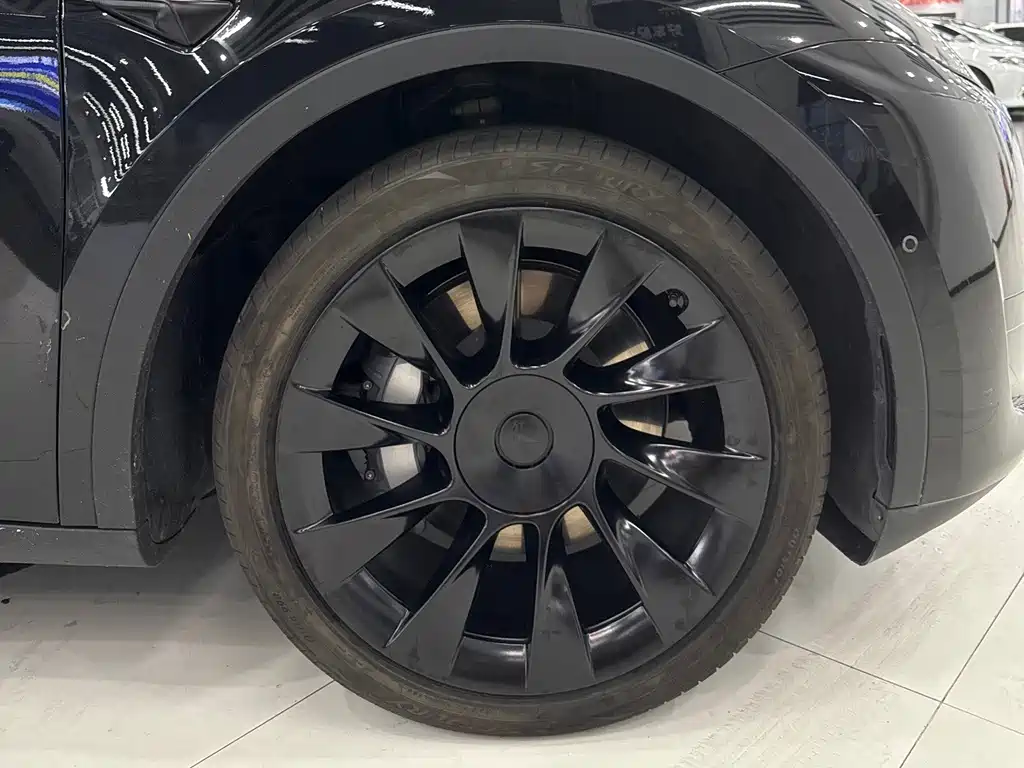 Tesla Model Y — миниатюра 7