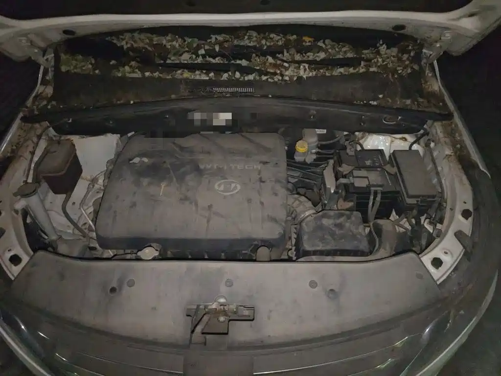 Baojun 560 — миниатюра 16