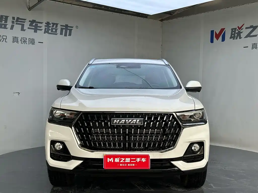 Haval H6 — миниатюра 2