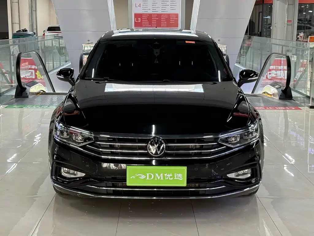 Volkswagen Magotan — миниатюра 2