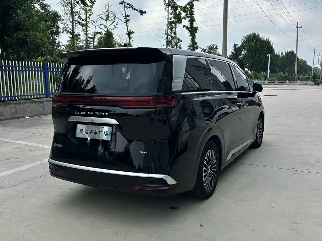 Denza Denza D9 — миниатюра 9