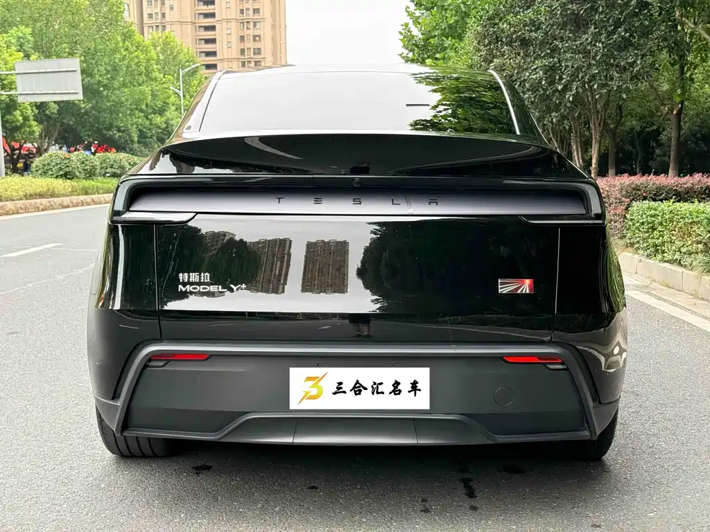 Tesla Model Y — миниатюра 9