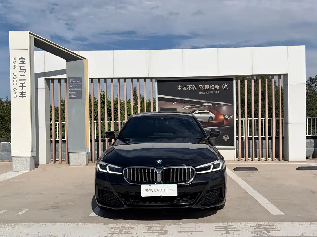 BMW 5 Series — миниатюра 2