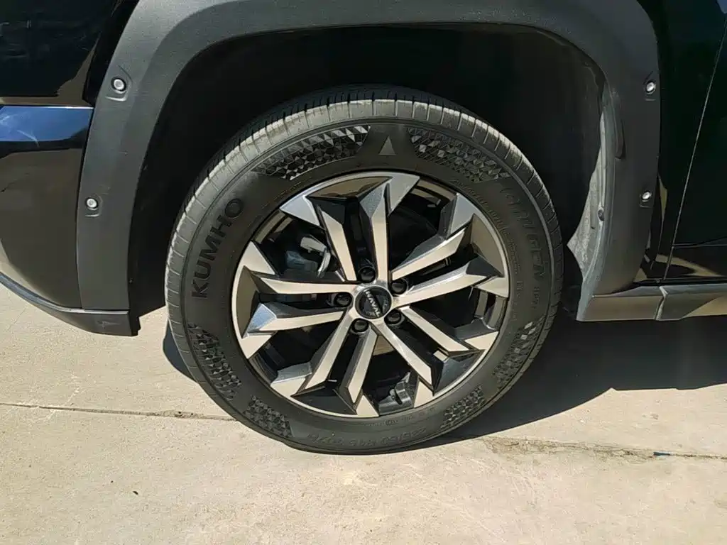 Haval Big Dog PLUS — миниатюра 23