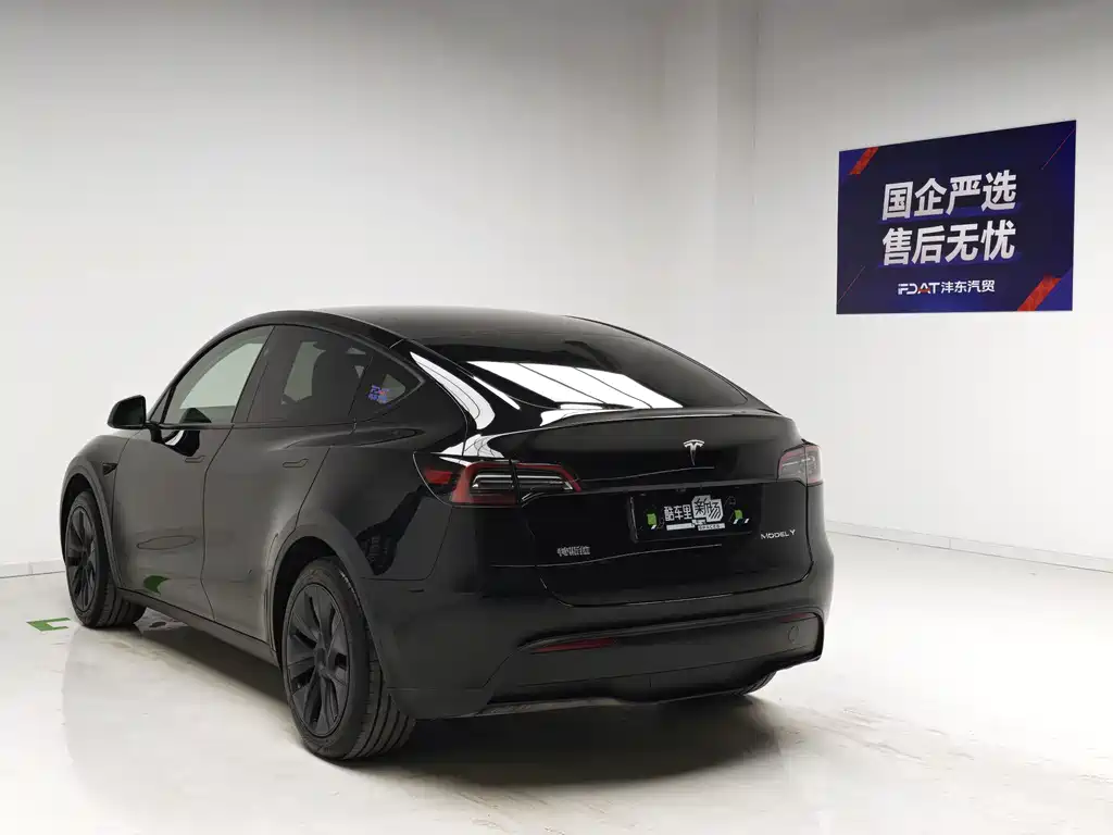 Tesla Model Y — миниатюра 6
