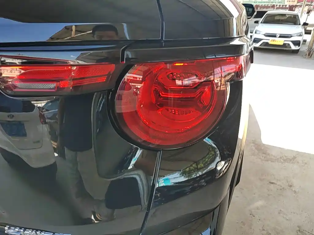 Haval Big Dog PLUS — миниатюра 8
