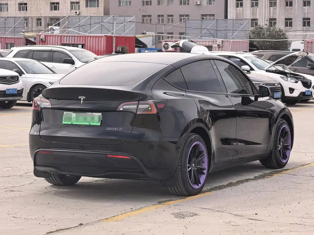 Tesla Model Y — миниатюра 7
