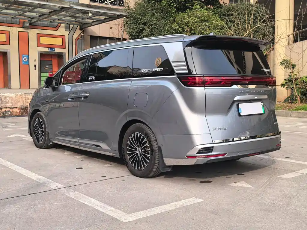 Denza Denza D9 — миниатюра 17
