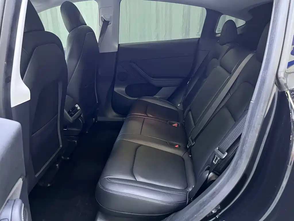 Tesla Model Y — миниатюра 16