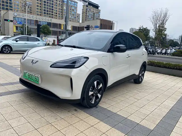 WULING WULING BINGGUO PLUS 2025